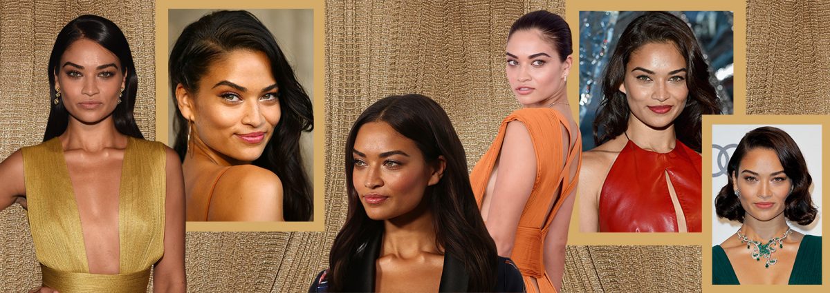 cover-shanina-shaik-beauty-look-desktop