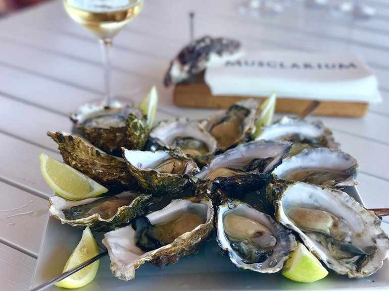 weekend-catalogna-spagna-viaggio-on-the-road-ostriche-vongole-in-mezzo-al-mare