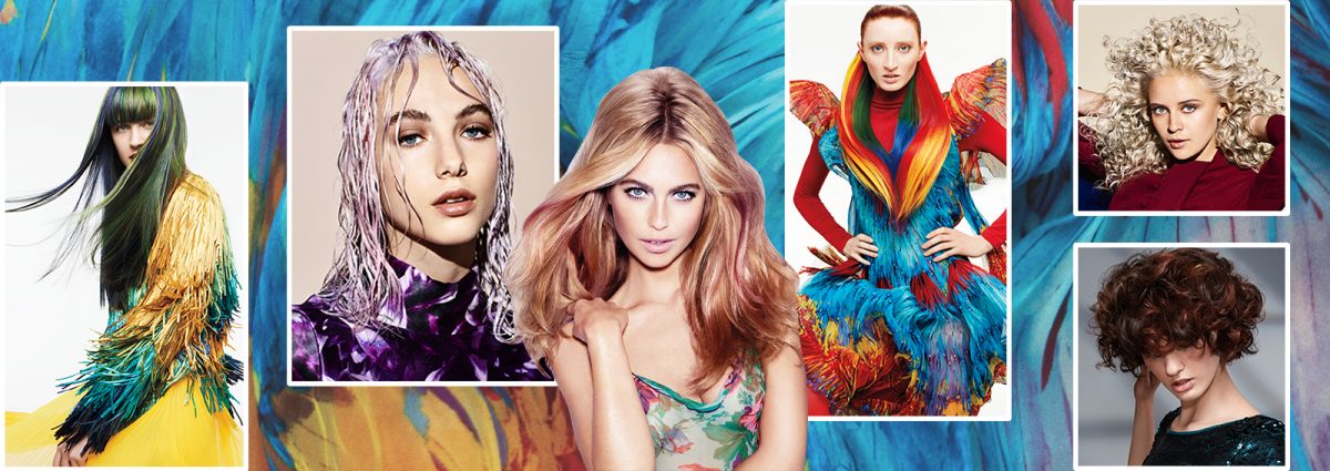 colore capelli saloni autunno inverno 2017 2018 collage_desktop