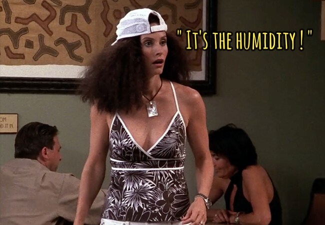 Friends – Monica