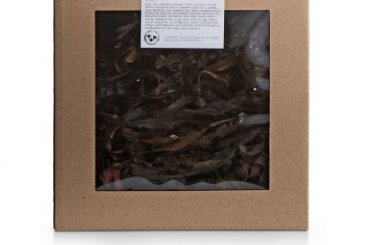 Nord-Europa-gli-ingredienti-cosmetici-e-le-ispirazioni-nella- profumeria-051_Seaweed-bath