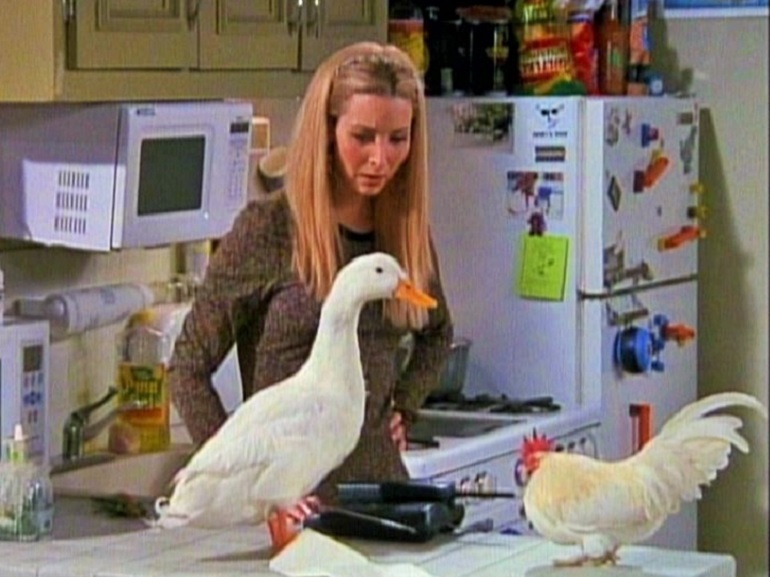 Phoebe Friends