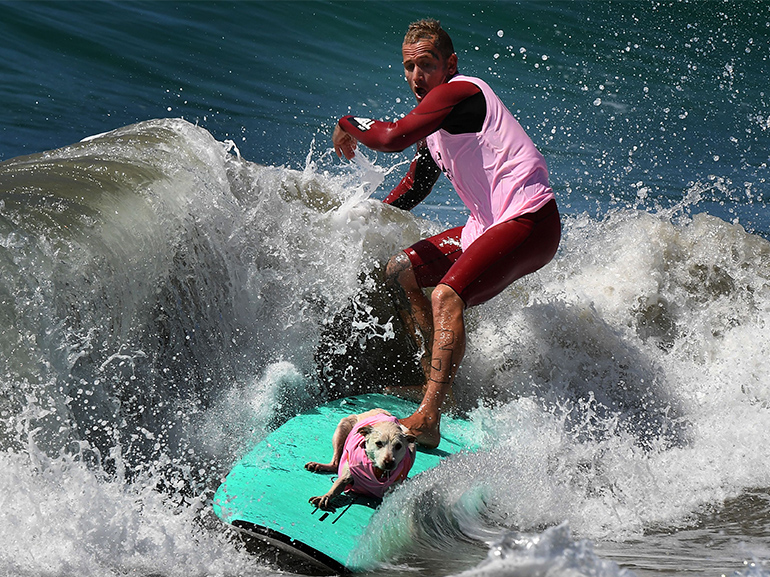 cane surf