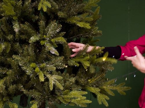 Come Mettere Le Luci Sull'albero Come addobbare l'albero di Natale più bello della vostra vita