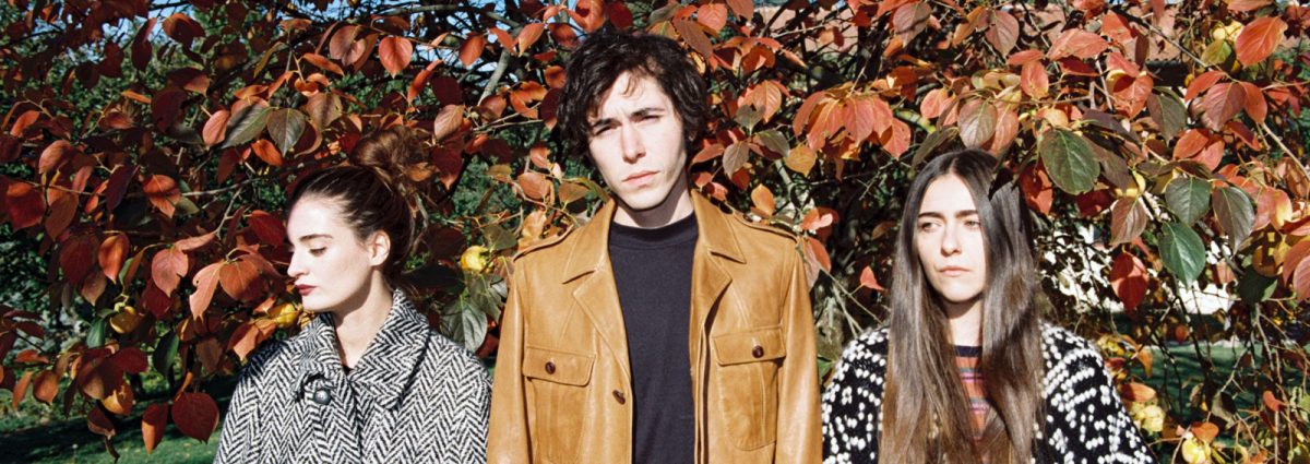 cover-be-forest-desktop