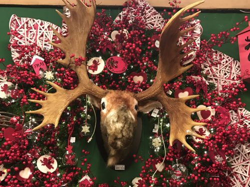 Addobbi Natalizi Quando Farli.Come Addobbare L Albero Di Natale Piu Bello Della Vostra Vita Grazia It