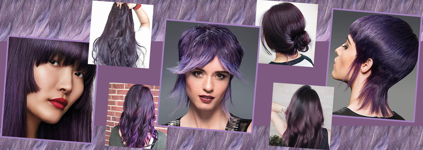 capelli viola scuro collage_desktop