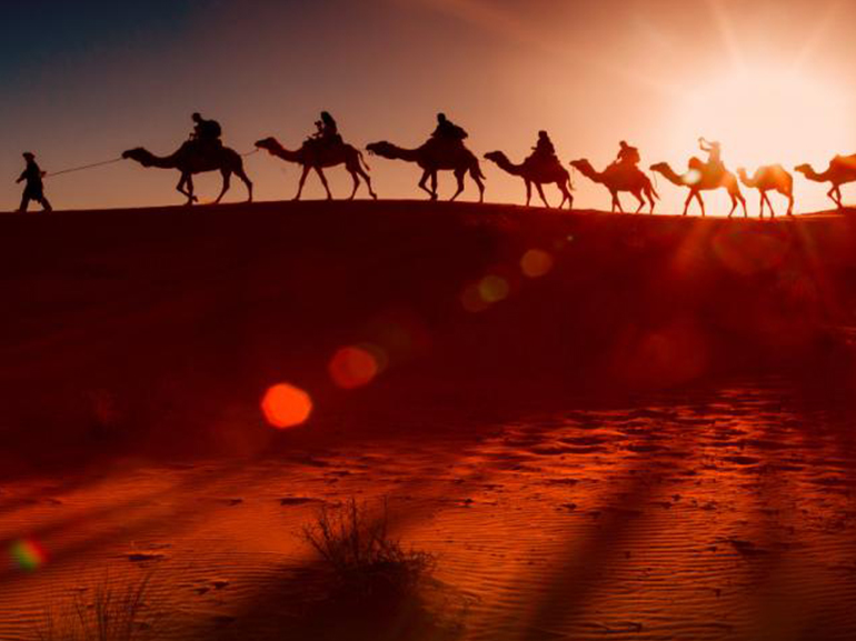 oman cammelli deserto