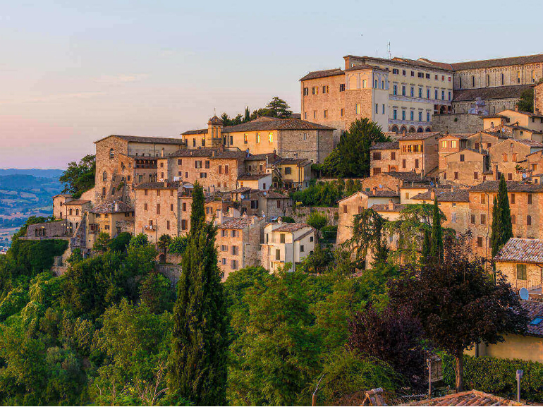 todi