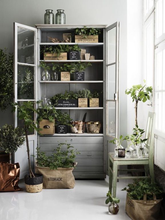 Display piante