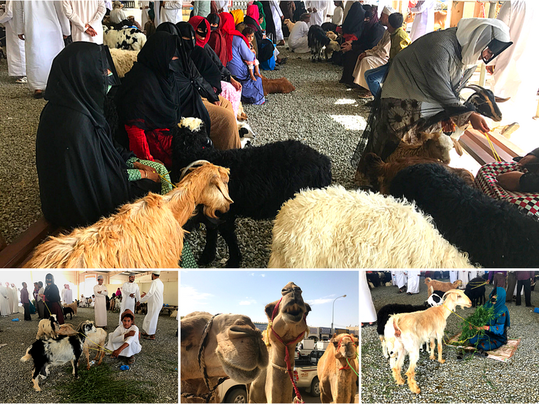 VIaggio in Oman a Sinaw per il mercato del giovedi bestiame beduini donne con maschere beduine