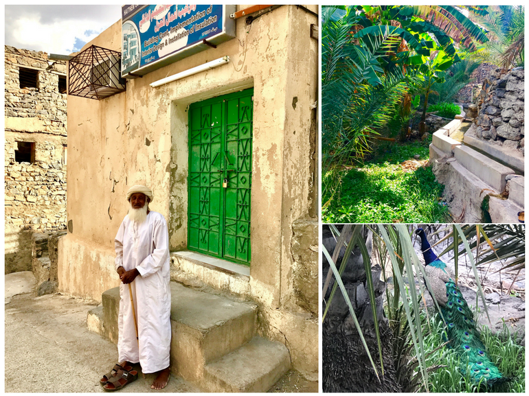 Viaggio in Oman tra Muscat e Nizwa villaggio di Misfat Al Abreen accessibile solo a piedi strette viuzze lo compongono piccole case tradizionali e vegetazione