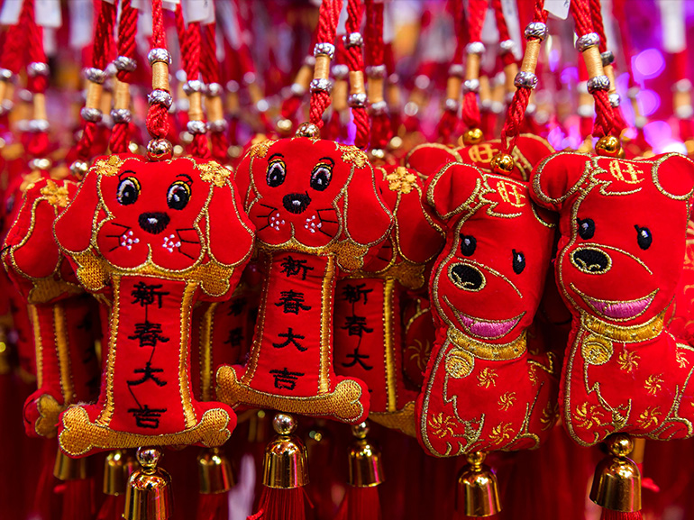 cane portafortuna cinese