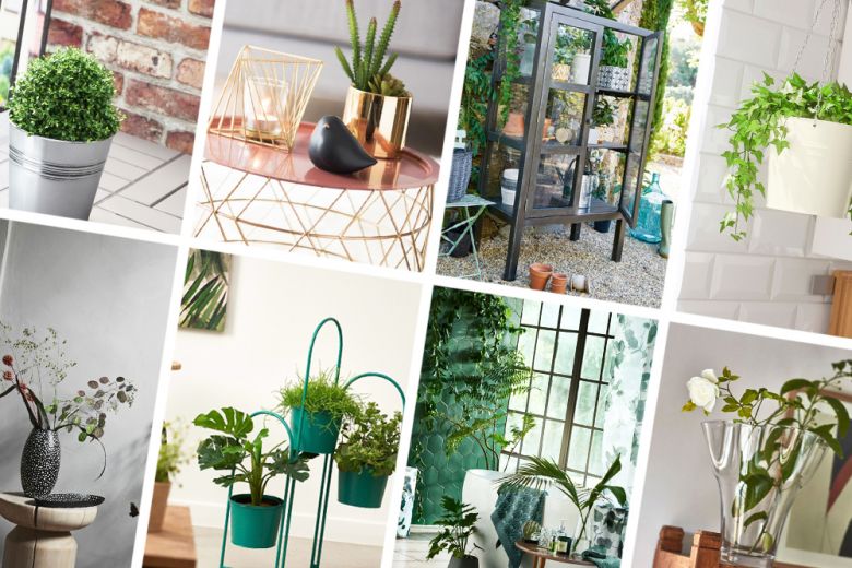 10 idee per arredare casa con serre, vasi e piante