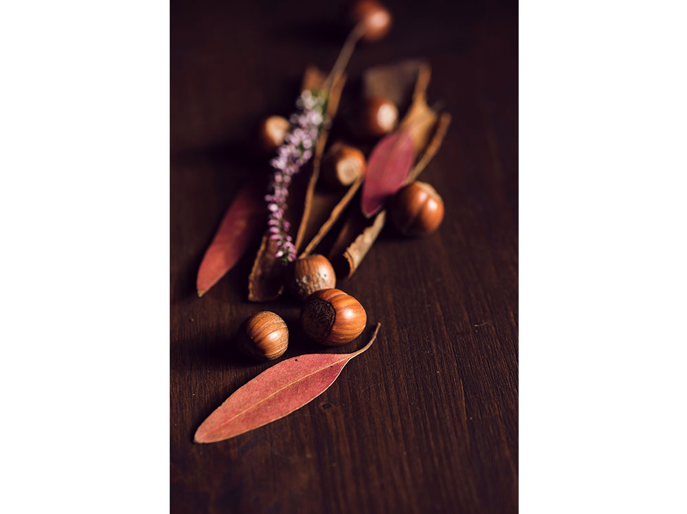 nocciole