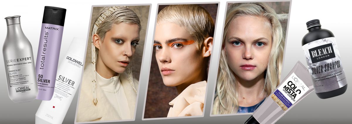 cover-silver-shampoo-desktop