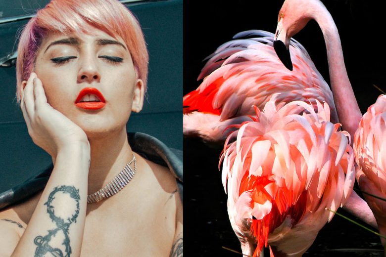 Flamingo hair: la tinta capelli color rosa fenicottero da provare