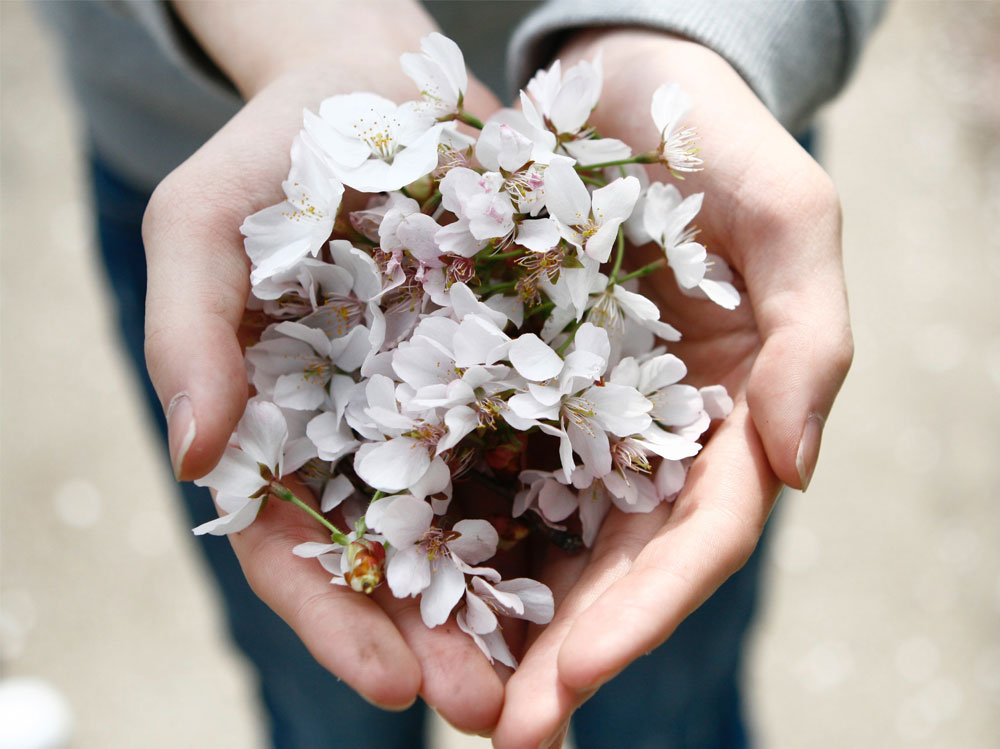 remise-en-forme-rifiorire-a-primavera