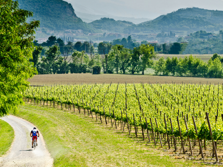 Natura cultura enogastronomia eventi per una gita fuori porta dal sapore tipicamente estivo in Franciacorta meta ideale (2)