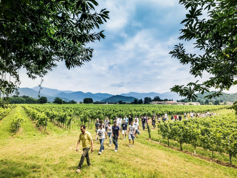 Natura cultura enogastronomia eventi per una gita fuori porta dal sapore tipicamente estivo in Franciacorta meta ideale (8)