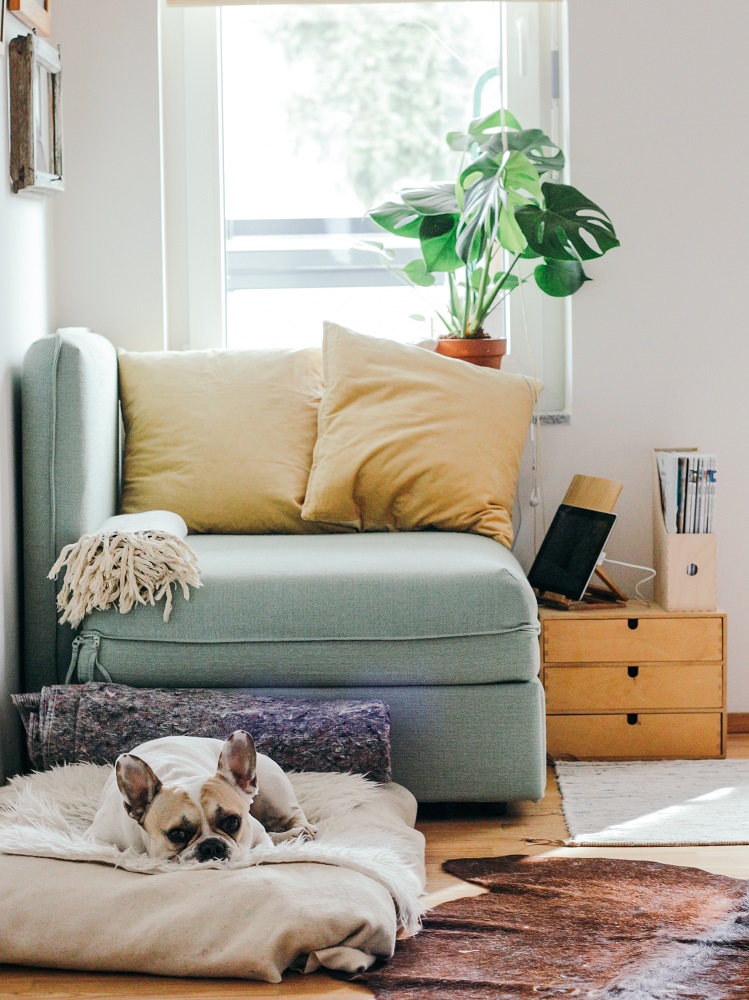 brina-blum-612693-unsplash