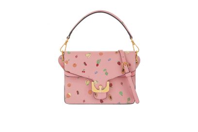 coccinelle