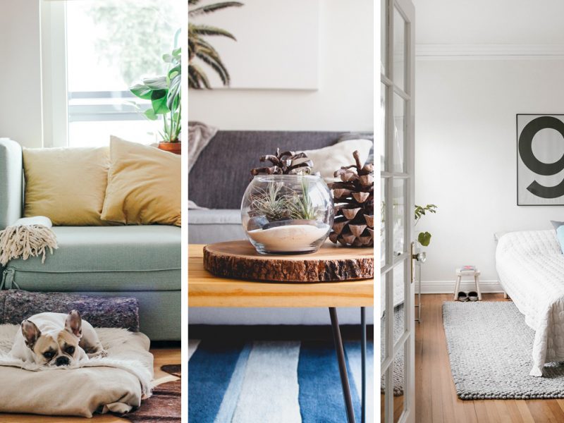 cover-fengshui-mobile