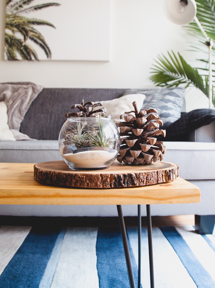 dane-deaner-272375-unsplash