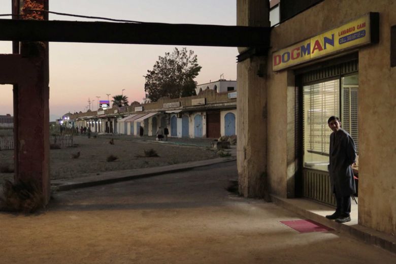 Cosa dovete sapere su Dogman, il nuovo film di Garrone