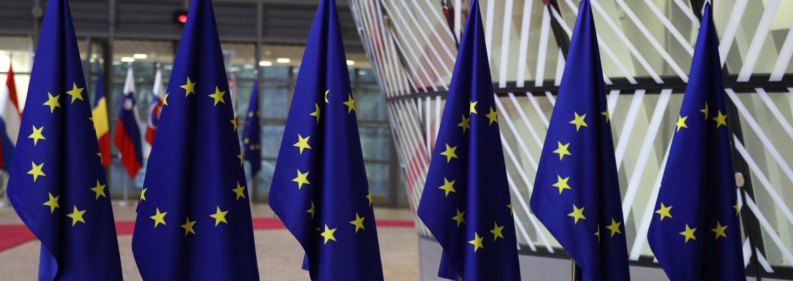 gdpr 5