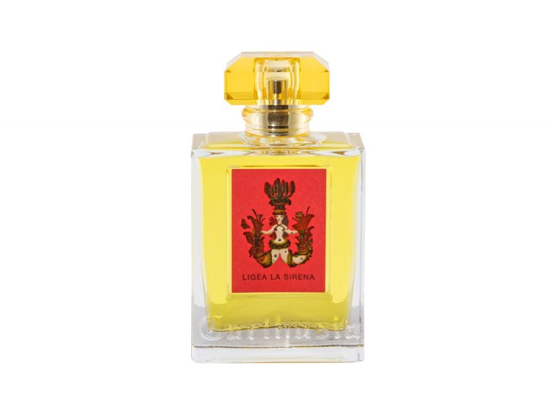 lavanda-le-infinite-proprieta-e-dove-trovarla-in-Provenza-ligea_bottle_preview