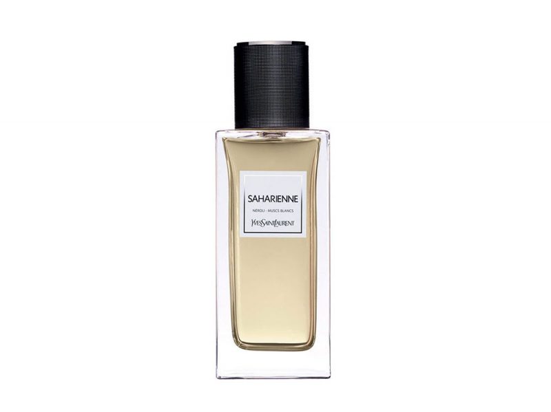 ysl-saharienne