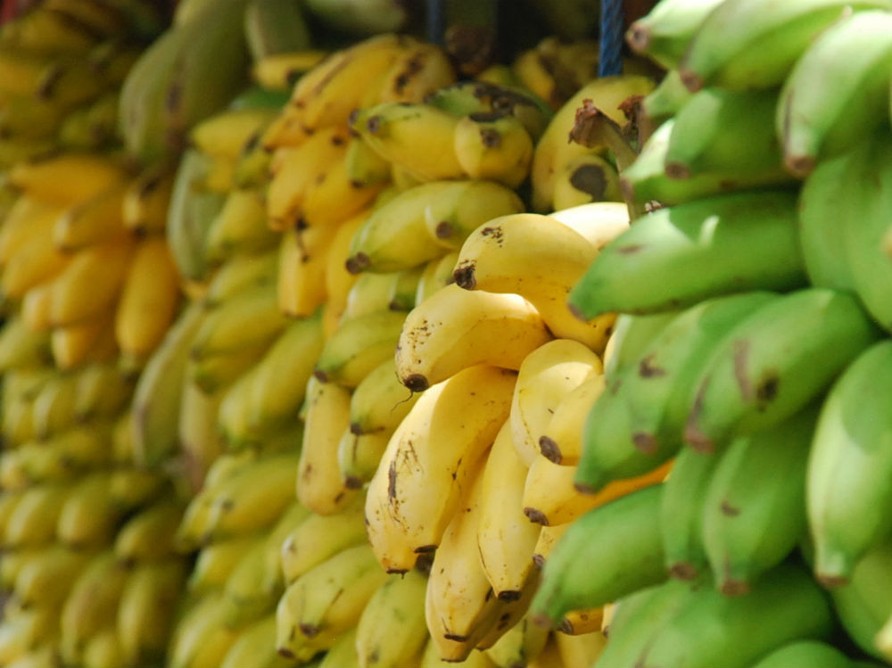Banane frutta