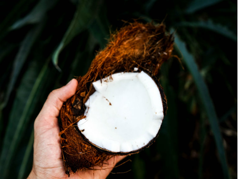 Cocco frutta (Mobile)