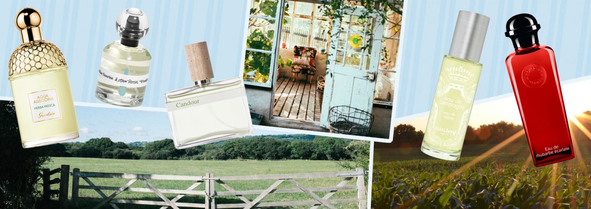 DESKTOP_PROFUMI_CAMPAGNA-ERBARIO