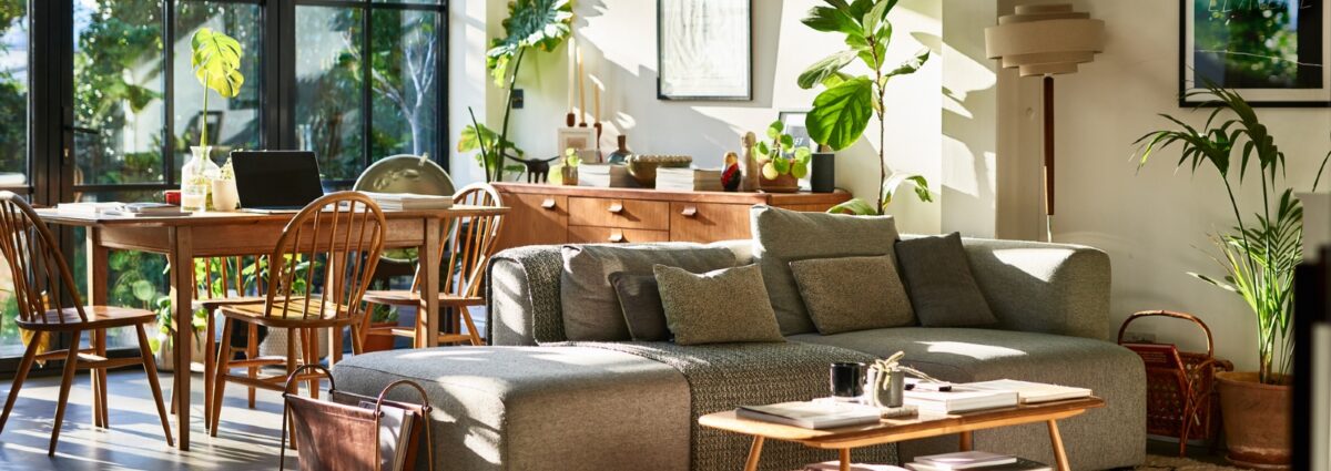 GettyImages-piante casa