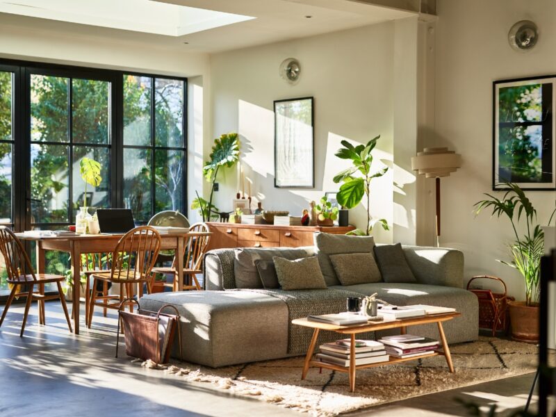 GettyImages-piante casa salotto design