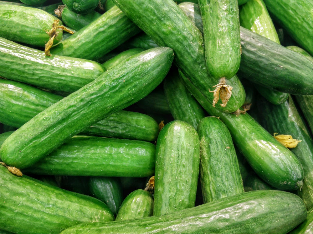 Zucchine