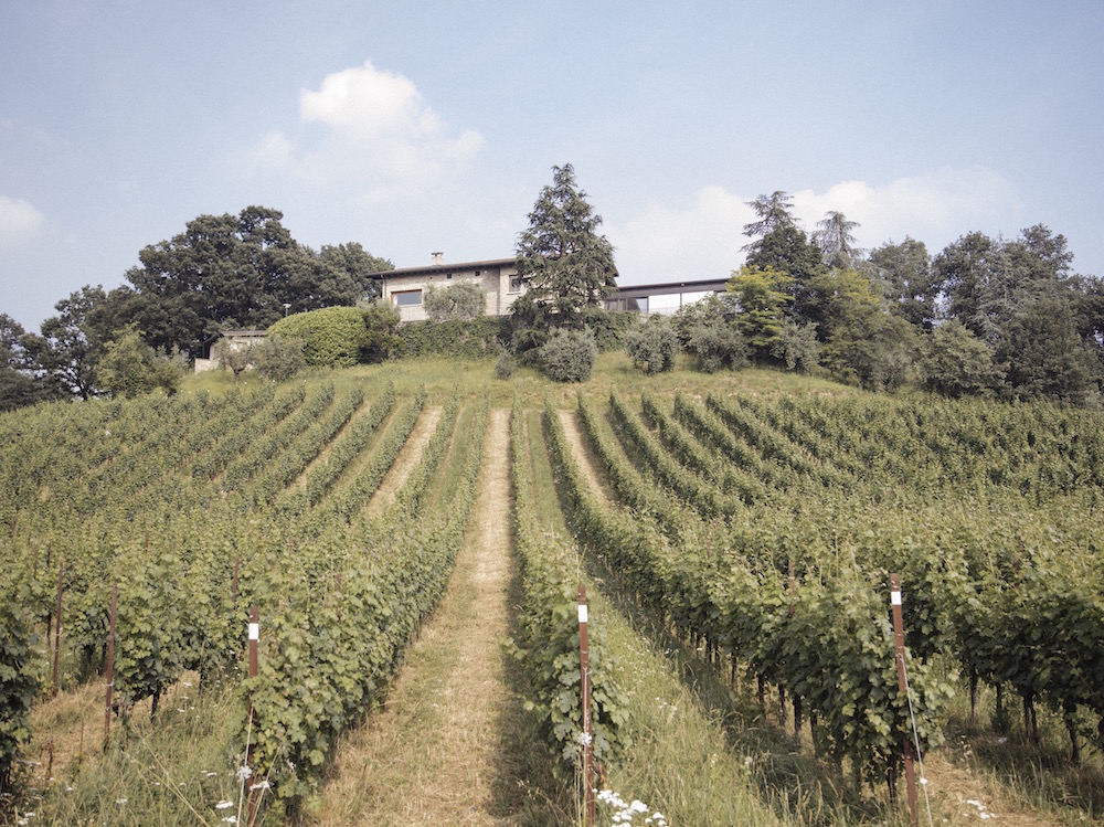 franciacorta_gourmode_5