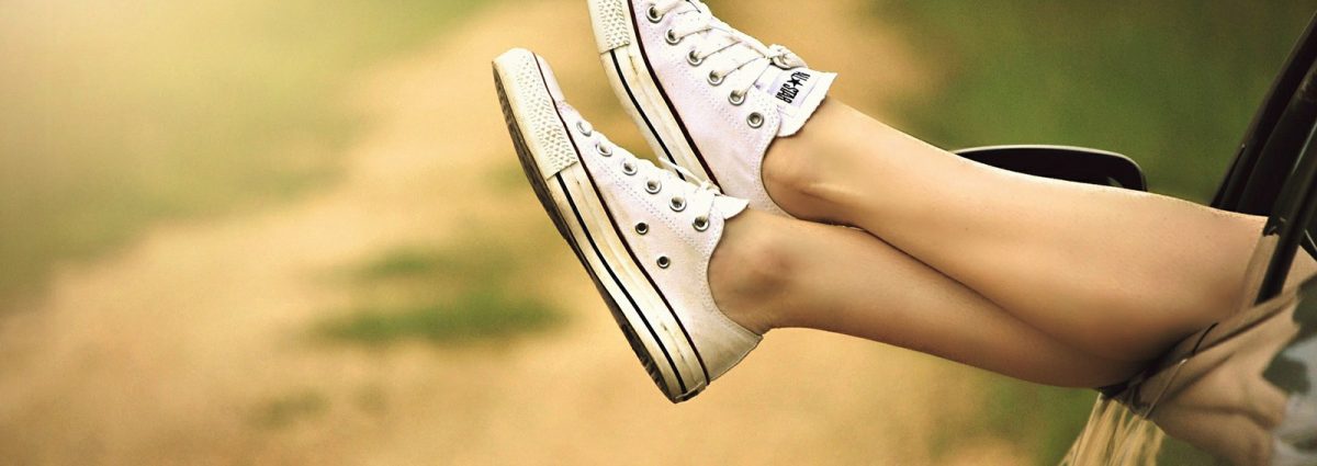 gambe zanzare desktop