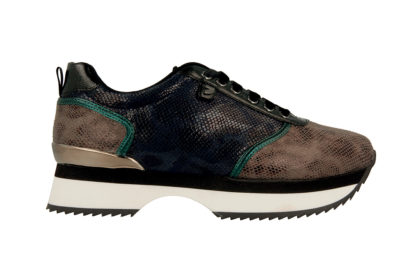 46523@AZUL_2d_0001 copia