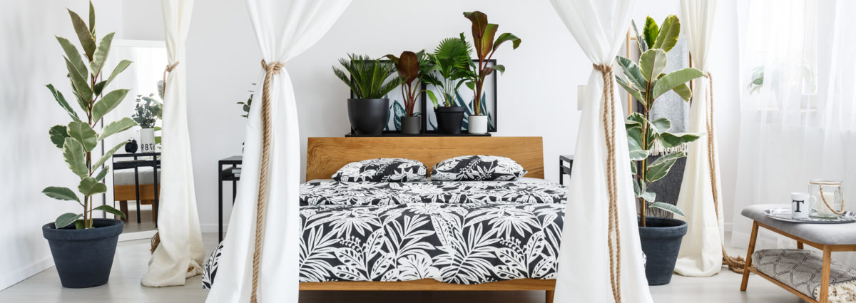 White drapes in bright bedroom