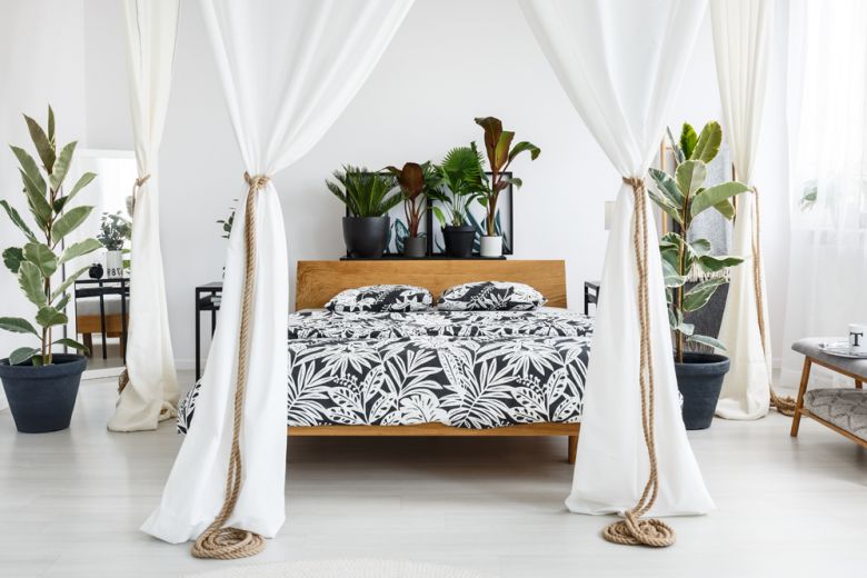 8 idee originali per decorare la casa con le piante d’appartamento