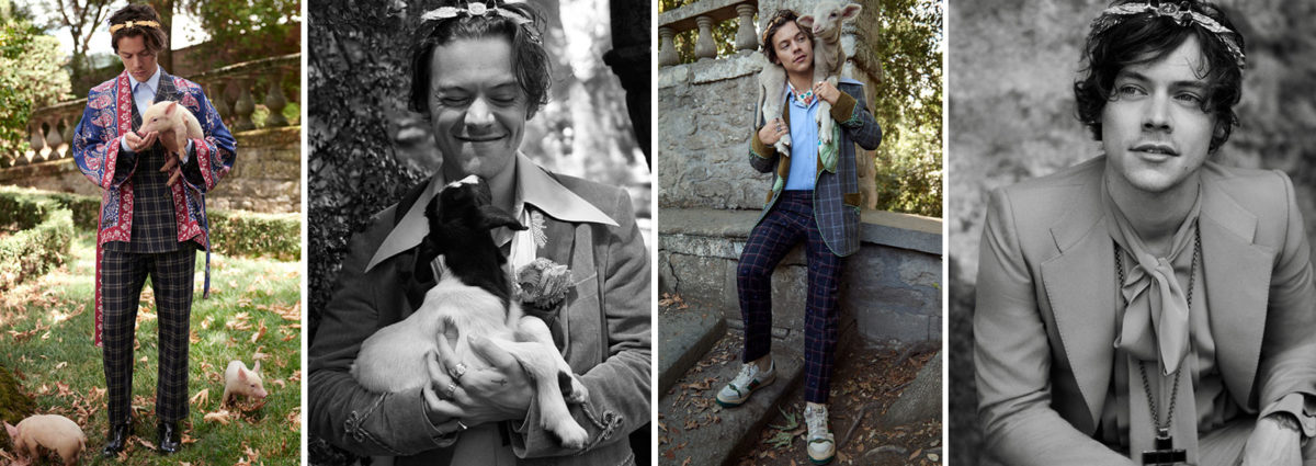 gucci-styles-DESKTOP