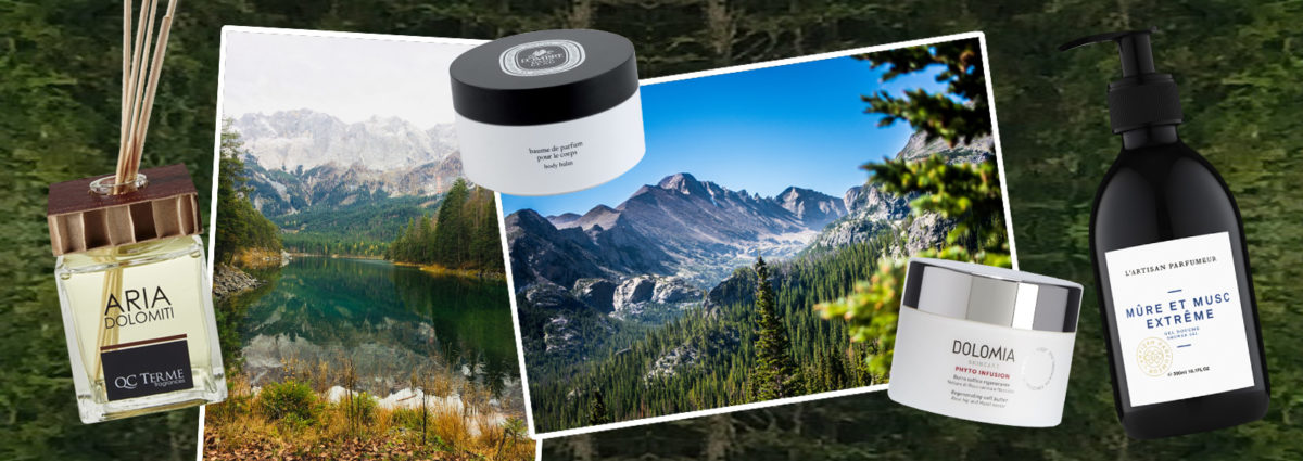 DESKTOP_RELAX,-ISPIRAZIONE-BOSCO