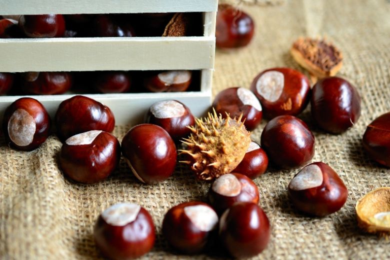 Ehi, fan delle castagne, leggete qui: pro e contro dello snack dell’autunno