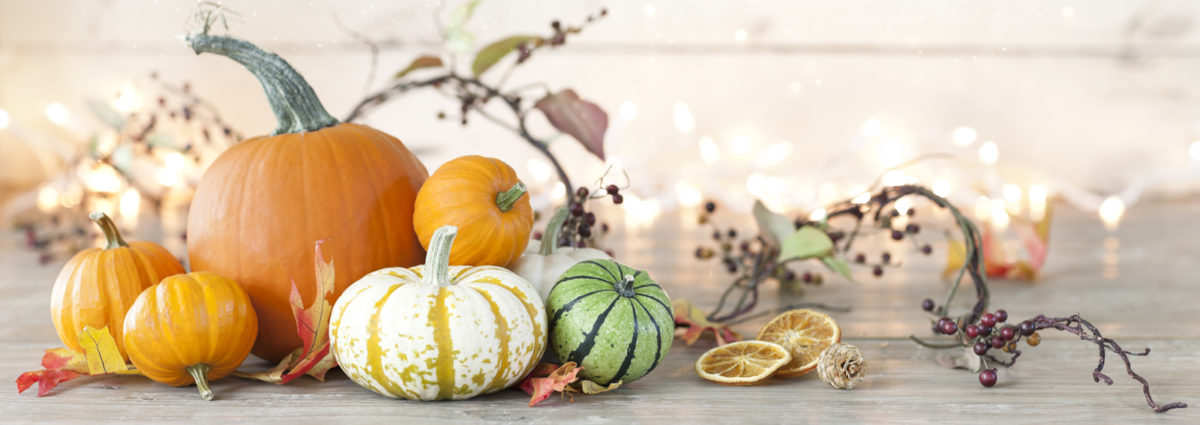 Autumn holiday pumpkin arrangement against an old white wood background