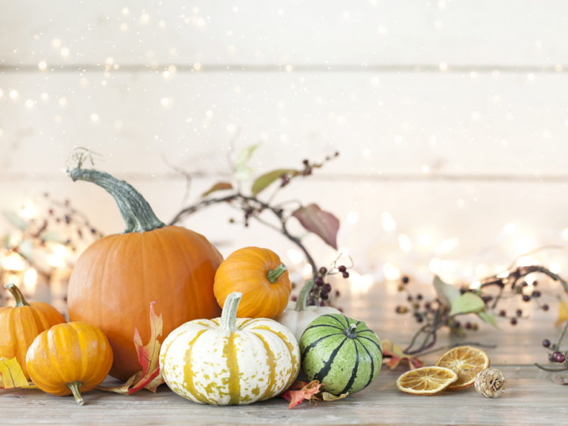 Autumn holiday pumpkin arrangement against an old white wood background