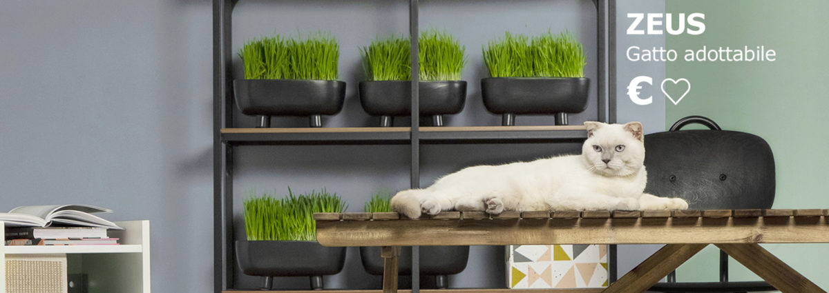 cover-ikea-enpa-desktop