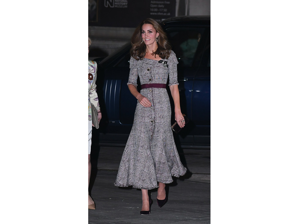 kate-middleton-in-erdem-splash